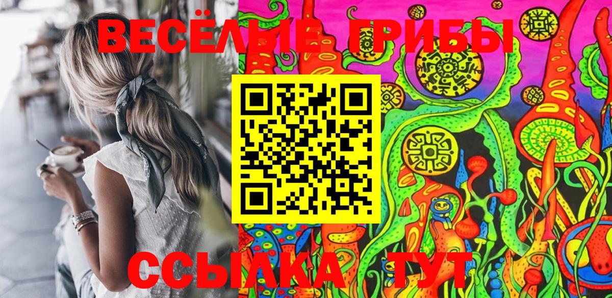 Псилоцибиновые грибы MAGIC MUSHROOMS  Вход с VPN  Щёлково 