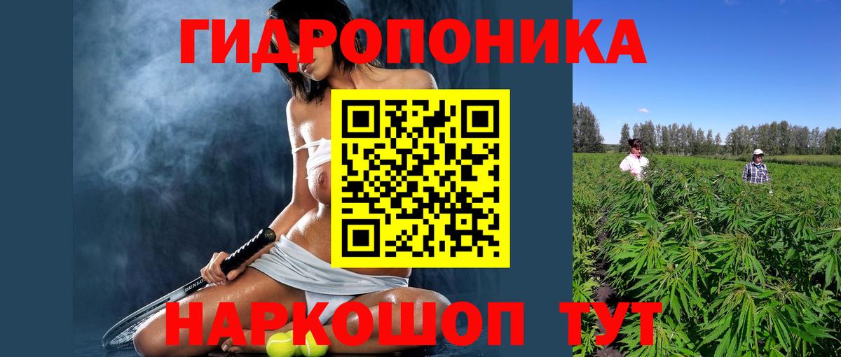 Марихуана марихуана  Бошки Шишки конопля  Вход с VPN  Щёлково 